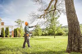 Best Seasonal Cleanup (Spring/Fall)  in Hickman, KY