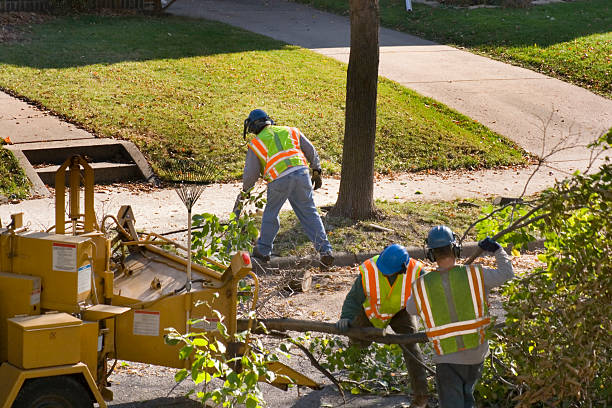Best Organic Lawn Care Solutions  in Hickman, KY